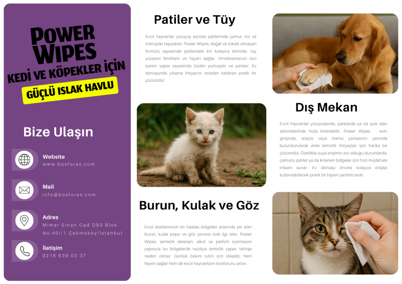 Power Wipes Kedi ve Köpekler İçin Güçlü Islak Havlu 100 Adet - 3